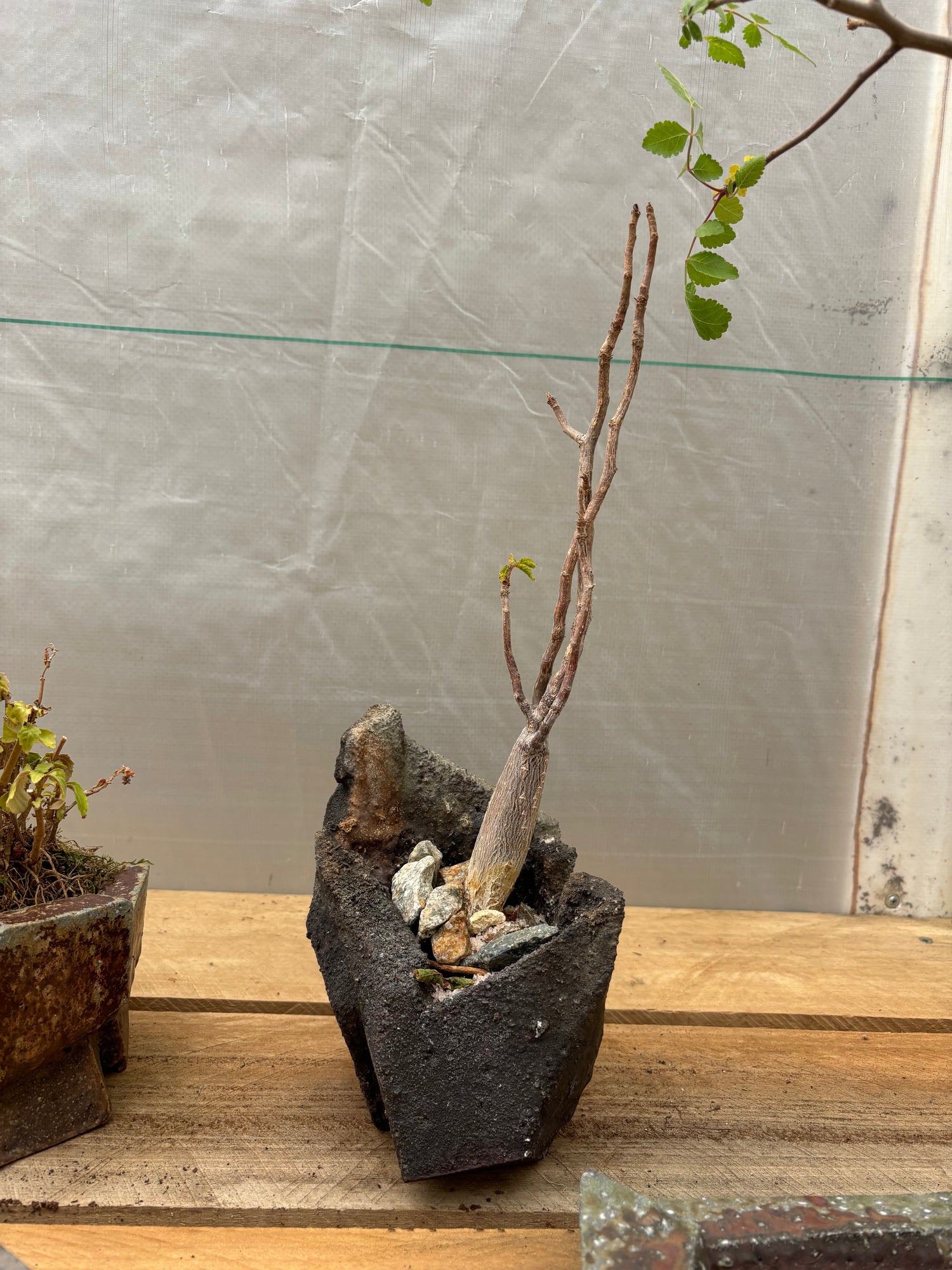 Jonathan Cross extra Small Vase/pot