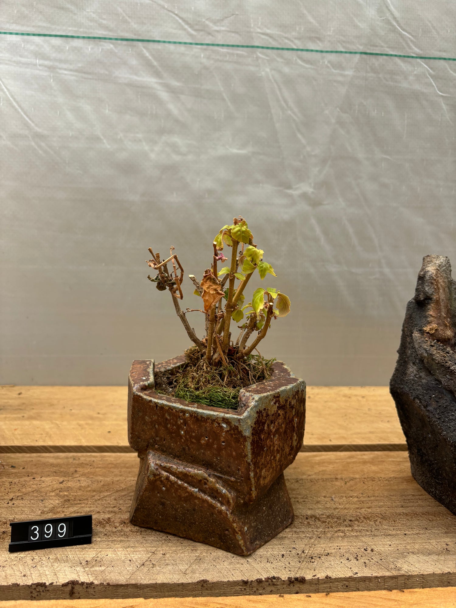 Jonathan Cross extra Small Vase/pot