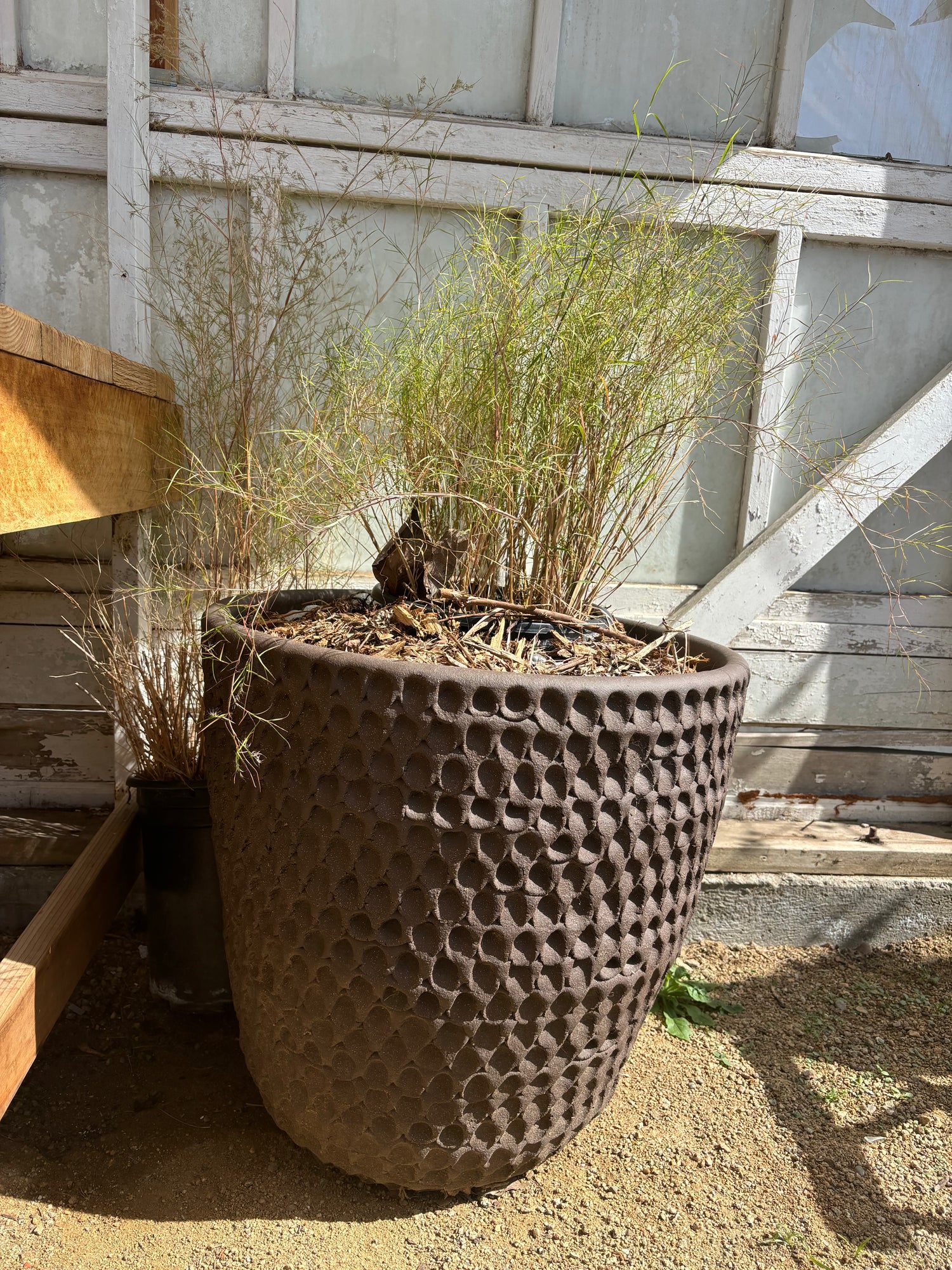 Stan bitters Large Thumb Pot Dark Brown